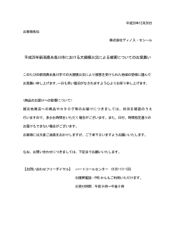 平成28年新潟県糸魚川市における大規模火災による被害