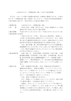 募集要項（PDF：168KB）