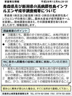 青森県・新潟県の高病原性鳥インフルエンザ疫学調査概要について（PDF