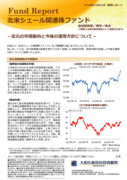 北  シェール関連株ファンド