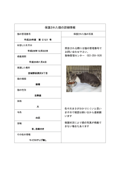 保護された猫の詳細情報