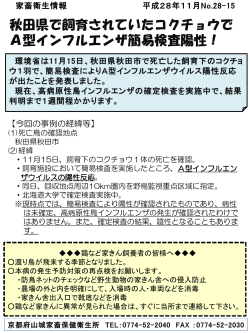 秋田県の飼育ｺｸﾁｮｳでA型ｲﾝﾌﾙｴﾝｻﾞ簡易検査陽性！（PDF：317KB）