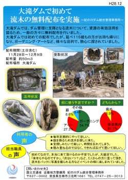 大滝ダムで初めて 流木の無料配布を実施