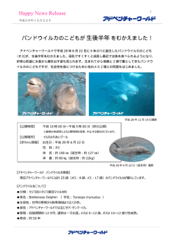 Happy News Release