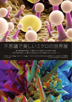 不思議で美しいミクロの世界展