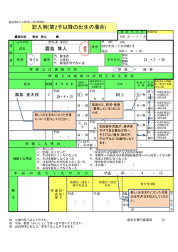 記入例(第2子以降の出生の場合)