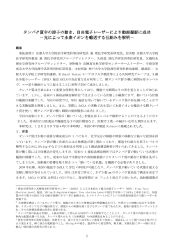 自由電子レーザーにより動画撮影に成功