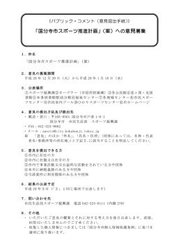 （案）の意見提出手続 （PDF 136.2KB）