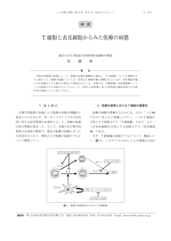 T 細胞と表皮細胞からみた乾癬の病態