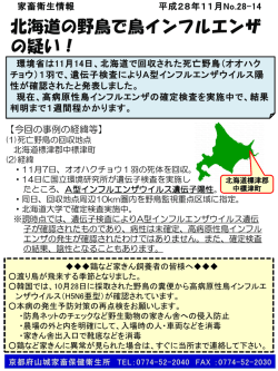 北海道の野鳥で鳥インフルエンザの疑い！（PDF：406KB）