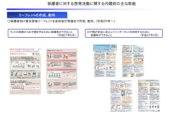 内閣府配布資料①