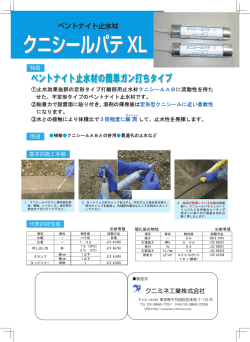 クニシールパテXL