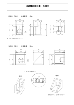 田区排水呑口工・吐口工