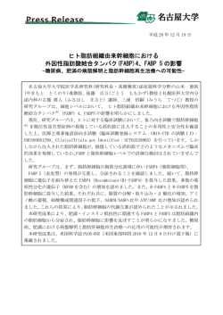 ヒト脂肪組織由来幹細胞における 外因性脂肪酸結合