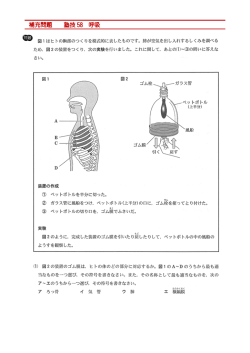 補充問題 塾技 58 呼吸