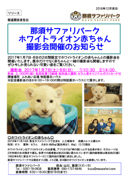 リリース全文