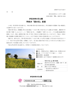 早咲き「菜の花」見頃 - 伊豆シャボテン公園