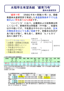 媛育75号