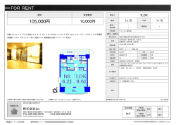 資料PDF - luz