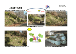 八幡公園つつじ整備
