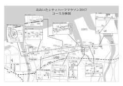おおいたシティハーフマラソン2017 コース全体図