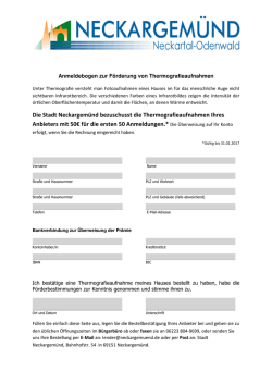 Die Stadt Neckargem&uuml;nd bezuschusst die Thermografieaufnahmen