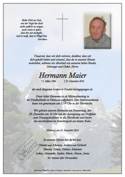 Hermann Maier - Bestattung Sterzl