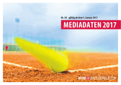 Online Mediadaten -