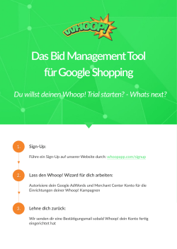 Das Bid Management Tool für Google Shopping Du willst deinen