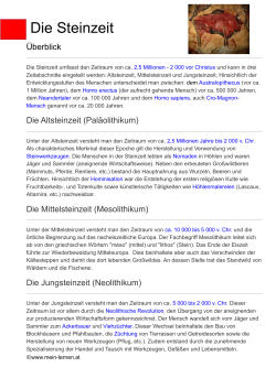 Die Steinzeit