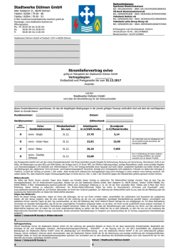 Stromliefervertrag evivo Stadtwerke Dülmen GmbH