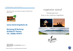 Vogelreich Island - Island Spezialist, Island Urlaub Sommer, Island