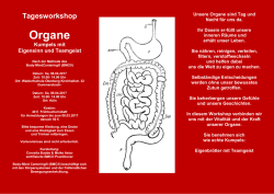 Info: pdf