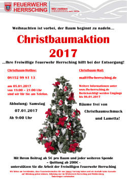 Christbaumaktion Flyer_2016-12