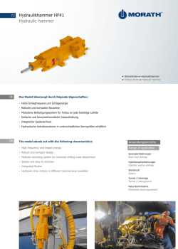 Hydraulikhammer HF41 Hydraulic hammer
