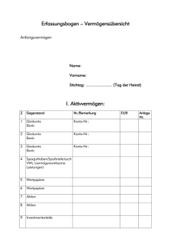 Erfassungsbogen &ndash; Verm&ouml;gens&uuml;bersicht I. Aktivverm&ouml;gen: