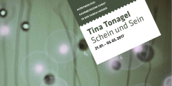 Tina Tonagel Schein und Sein