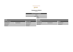Organigramm PZM AG