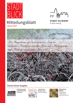 Januar Stadtblick