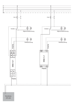 DSM / L.1 DSM / U.1
