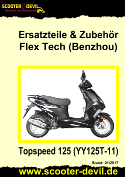 Flex Tech (Benzhou) Topspeed 125 (YY125T-11)