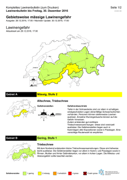 Produkt der Lawinenwarung