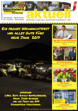 Ein frohes Weihnachtsfest und alles Gute F&uuml;rs neue Jahr 2017