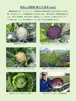 おもしろ野菜育ててますvol.2（PDF：331KB）