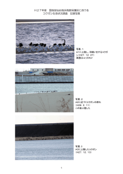 記録写真