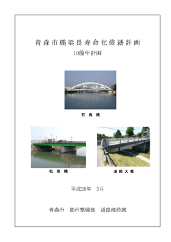 青森市橋梁長寿命化修繕計画（PDF：8391KB）