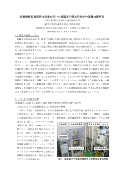 放射線誘起表面活性効果を用いた超臨界圧軽水冷却炉の基盤技術研究