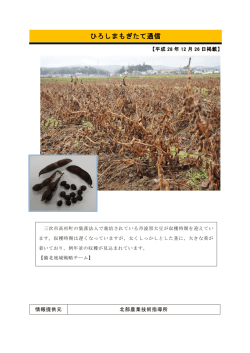 備北地域戦略チーム（平成28年12月26日掲載） (PDFファイル)