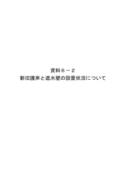 資料6－2 新旧護岸と遮水壁の設置状況について
