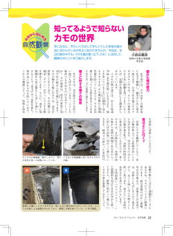 ブック 1.indb - 日本自然保護協会～NACS-J